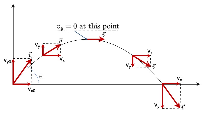 Projectile Motion Lab